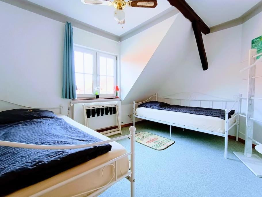 Ruhiges Exzellenz-Appartement Diana Im Elb-Urstromtal - Fast Wlan, Good For Long-Terms Bleckede Exterior photo